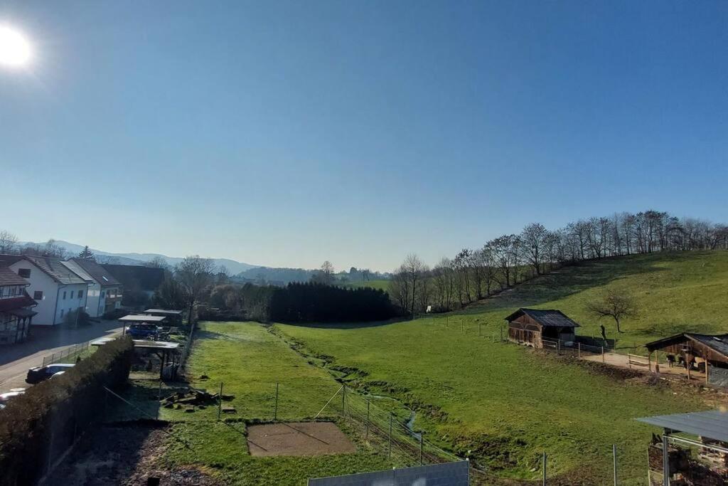 Grosse Tolle 4 Zimmer Ferienwohnung Im Herzen Des Odenwaldes Moerlenbach Exterior photo