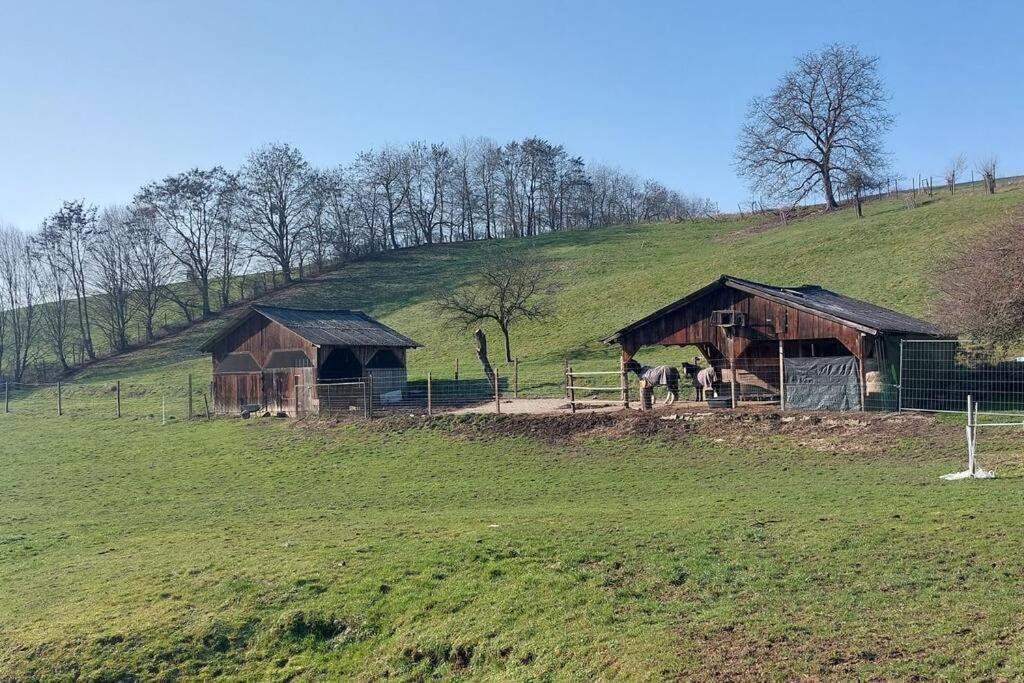 Grosse Tolle 4 Zimmer Ferienwohnung Im Herzen Des Odenwaldes Moerlenbach Exterior photo